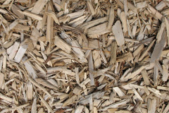 biomass boilers Grainsby
